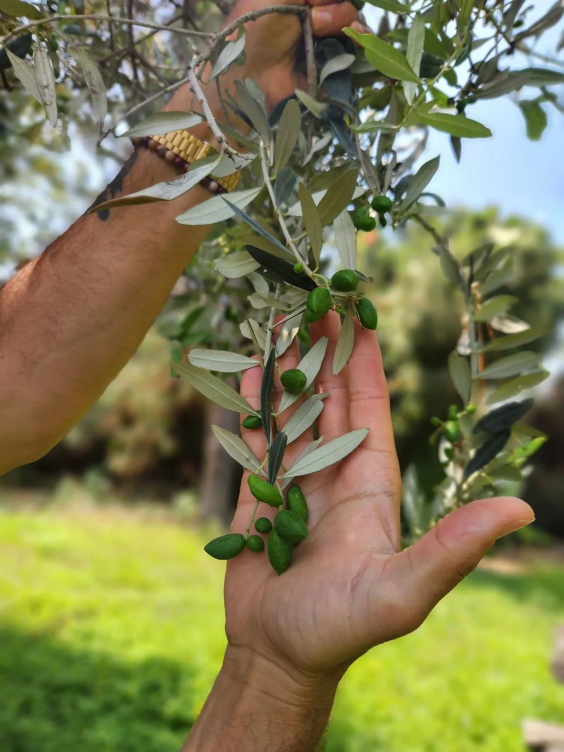 Honest ingredients — From the source